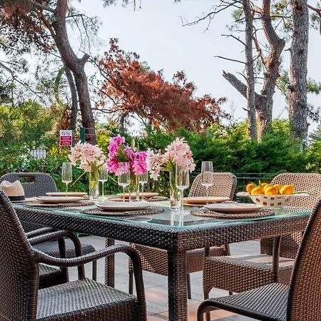 23 Villa Adalar