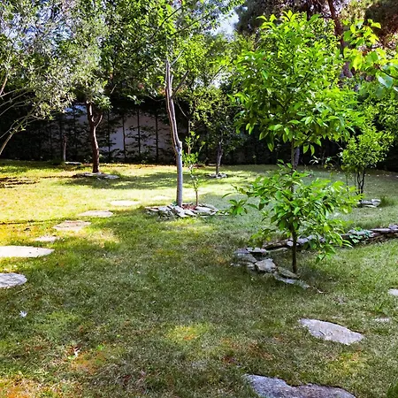 23 * Adalar